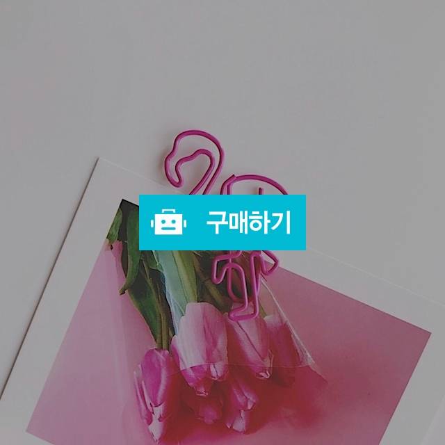 플라밍고 클립 / La Sienne / 디비디비 / 구매하기 / 특가할인