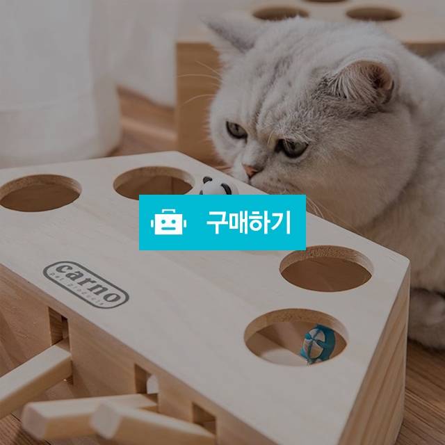탁펫 고양이 두더지게임 / 리빙듀오님의 스토어 / 디비디비 / 구매하기 / 특가할인