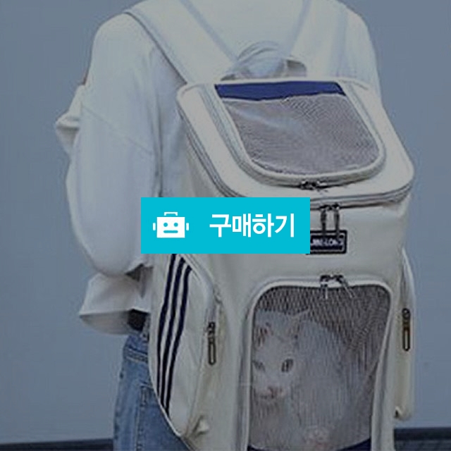 반려동물 이동가방 고양이 강아지 산책가방 애견백팩 이동장 / 댕유마켓님의 스토어 / 디비디비 / 구매하기 / 특가할인