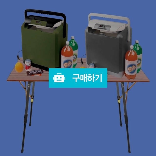 웨건테크 차량용 캠핑 냉장고 온장고 24L 휴대 여행 낚시용 미니 냉온장고 자동차카 쿨러 / 다모아아토즈님의 스토어 / 디비디비 / 구매하기 / 특가할인