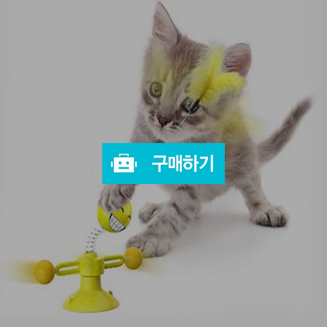 부착형 고양이공놀이 토이 훈련 교육 냥냥펀치 권투 고양이장난감 / 댕유마켓님의 스토어 / 디비디비 / 구매하기 / 특가할인