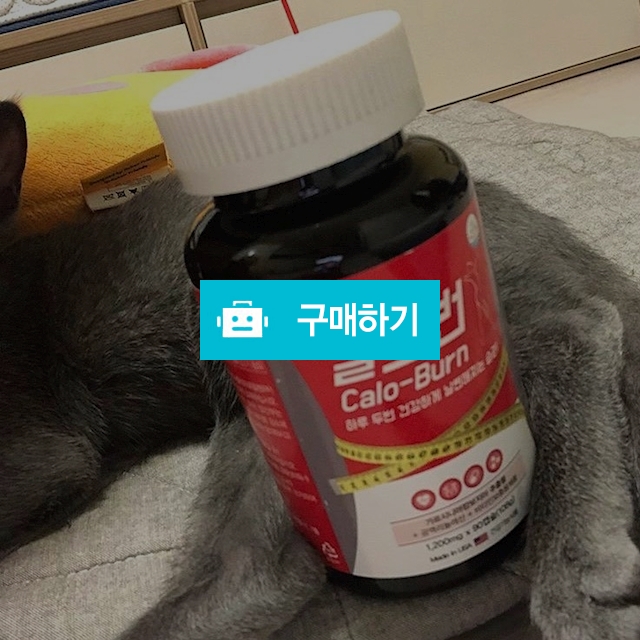 [ 정품 ] 칼로번다이어트 / Calo-Burn / 연지곤지마켓 / 디비디비 / 구매하기 / 특가할인
