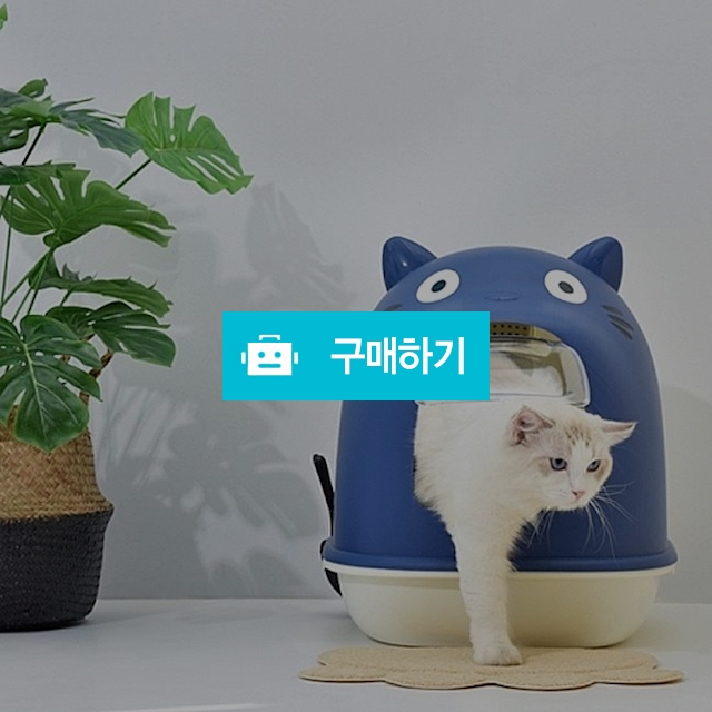 박스형 평판형 사막화방지 고양이변기 야옹이 배변통 모래튐방지 고양이화장실 / 댕유마켓님의 스토어 / 디비디비 / 구매하기 / 특가할인
