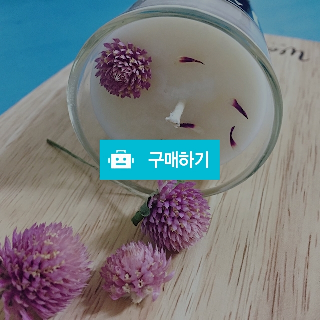 천일홍 소이캔들_결혼답례 돌답례 고희연 기업선물 / 제이쥬캔들 / 디비디비 / 구매하기 / 특가할인