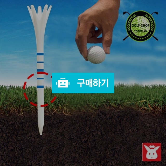토토만 골프 골프티 티높이 컨트롤 마크선(10개입) 골프필드용 / 프리미엄리빙스토어 / 디비디비 / 구매하기 / 특가할인