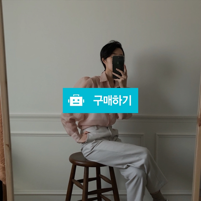 핀턱 시스루 셔츠 블라우스 / DRESSONG / 디비디비 / 구매하기 / 특가할인