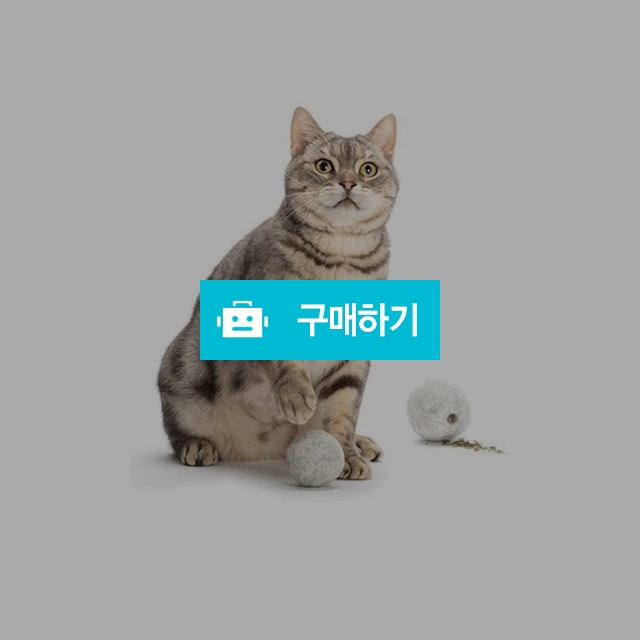 마이독 고양이 캣닢 장난감 양모 볼 / 마이독님의 스토어 / 디비디비 / 구매하기 / 특가할인