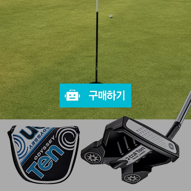 오디세이 퍼터 여성 여자 남성 남자용 오딧세이 말렛형 투볼 텐 골프퍼트 골프클럽 골프채 Putter / 다모아아토즈님의 스토어 / 디비디비 / 구매하기 / 특가할인