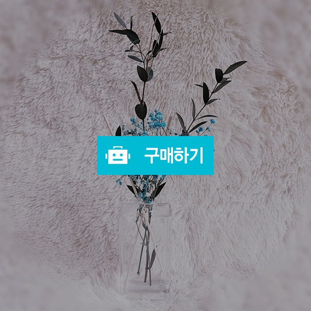 블루 안개꽃 120ml 실내 디퓨저 / Supia님의 스토어 / 디비디비 / 구매하기 / 특가할인