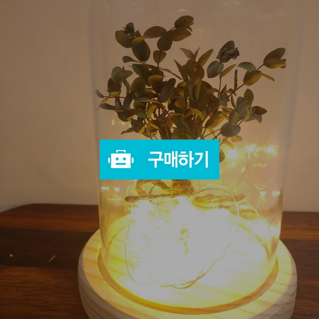 그린무드등 / 제니데코님의 스토어 / 디비디비 / 구매하기 / 특가할인
