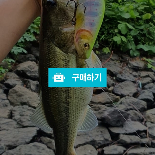메가배스 아이슬라이드185s / 린데씌님의 스토어 / 디비디비 / 구매하기 / 특가할인