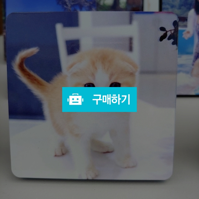 펼 나무사진액자 / 은정321님의 스토어 / 디비디비 / 구매하기 / 특가할인