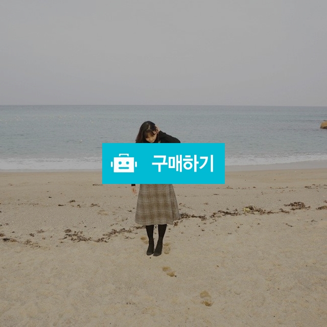 빅사이즈 체크 단추 포인트 뷔스티에 / 아워르몽드님의 스토어 / 디비디비 / 구매하기 / 특가할인
