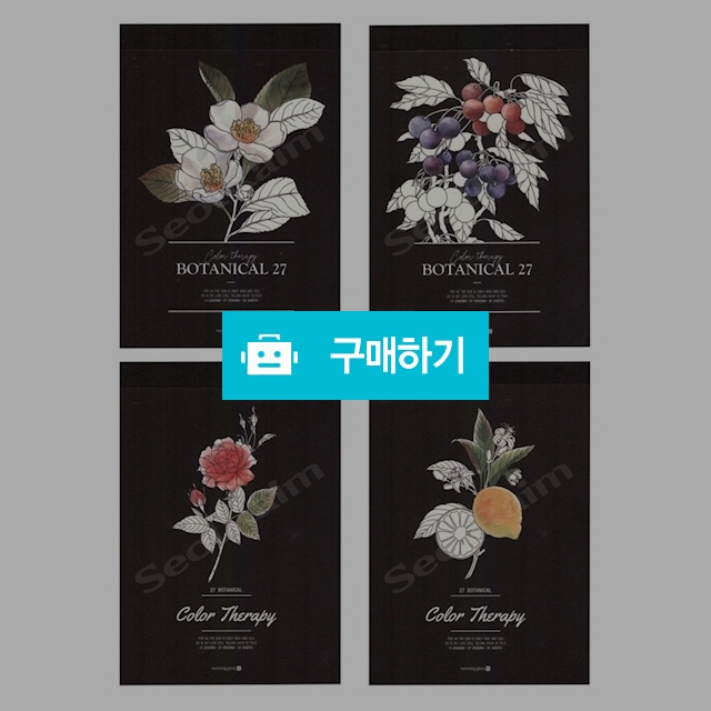 모닝글로리 수채화 컬러링 컬러테라피 수채패드 보테니컬 / 설래임 / 디비디비 / 구매하기 / 특가할인