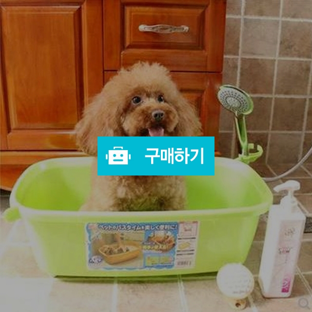 마이독 아이리스 강아지욕조 / 마이독님의 스토어 / 디비디비 / 구매하기 / 특가할인