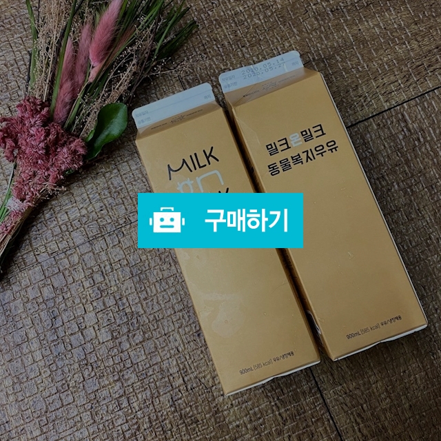 매일아침 착유한 MOM 밀크온밀크 동물복지 우유900ML x 2 / 가성비충전소 / 디비디비 / 구매하기 / 특가할인
