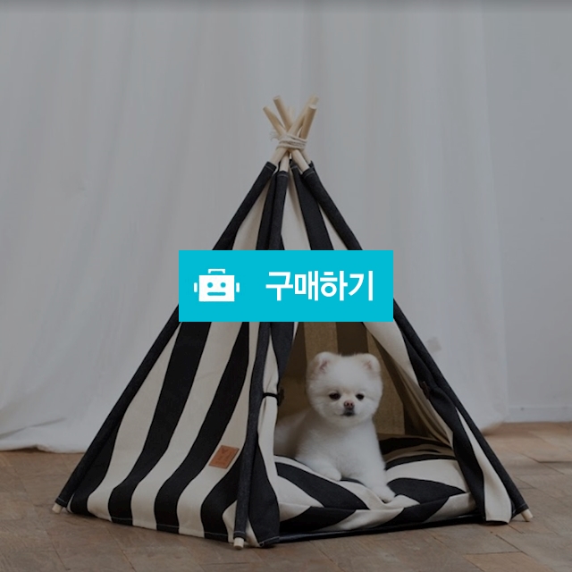 마이독 애견 스트라이프 인디언 텐트 강아지 하우스 / 마이독님의 스토어 / 디비디비 / 구매하기 / 특가할인