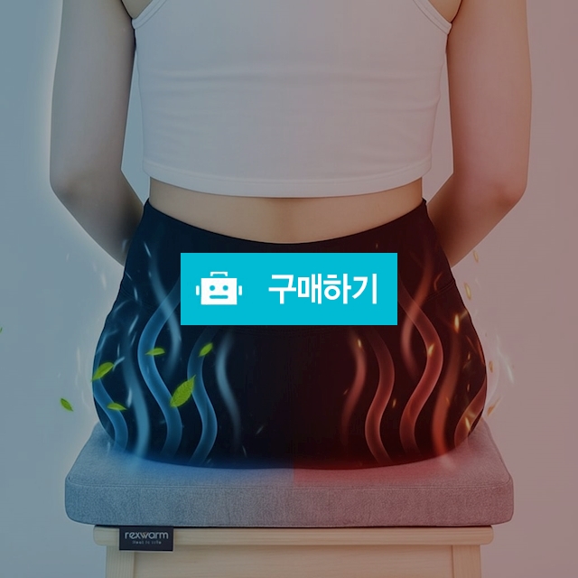 렉스웜 핫앤쿨 원적외선 1인용 온열방석 / maxplus / 디비디비 / 구매하기 / 특가할인