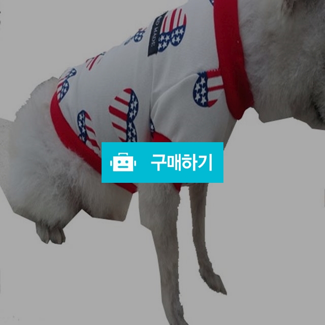 하프티셔츠 / 텐독TENDOG님의 스토어 / 디비디비 / 구매하기 / 특가할인