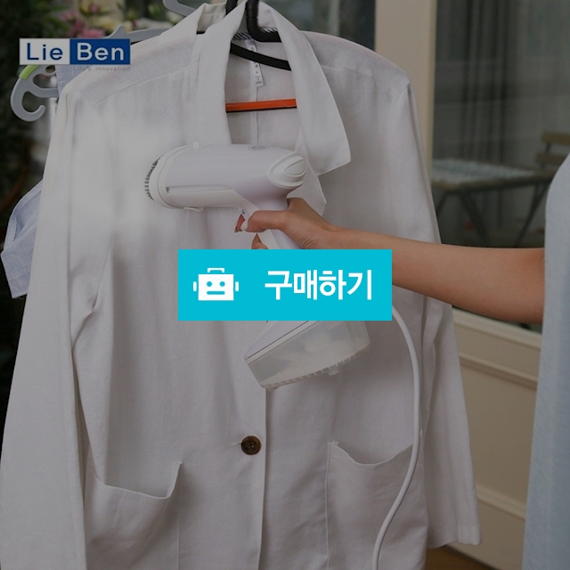 리벤 핸디형 2단 터보스팀 다리미 / 스미스이니셔티브님의 스토어 / 디비디비 / 구매하기 / 특가할인