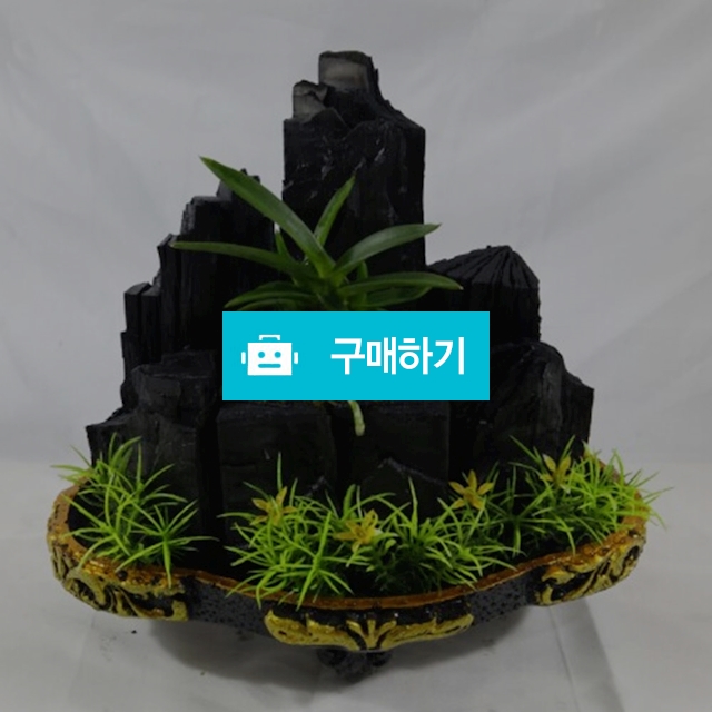 삼각타원 숯분재 / 한반도짱님의 스토어 / 디비디비 / 구매하기 / 특가할인