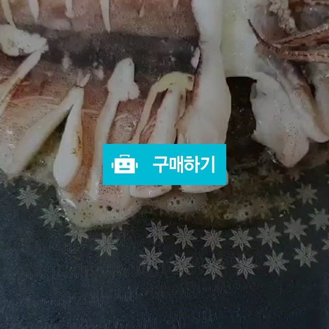 피데기오징어 大 5마리 / 바다를담다부산점 / 디비디비 / 구매하기 / 특가할인
