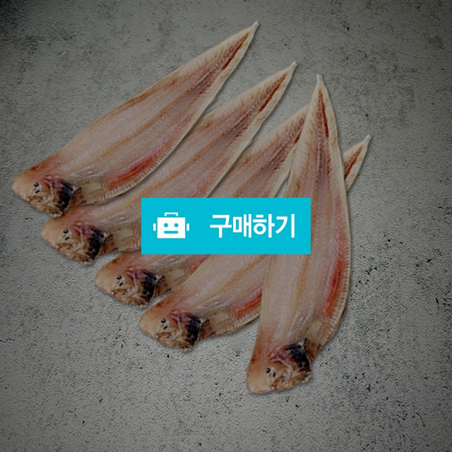 서대 쫄깃하고 비린내가 적은 반건조  서대 10마리 / 굴비댁님의 스토어 / 디비디비 / 구매하기 / 특가할인