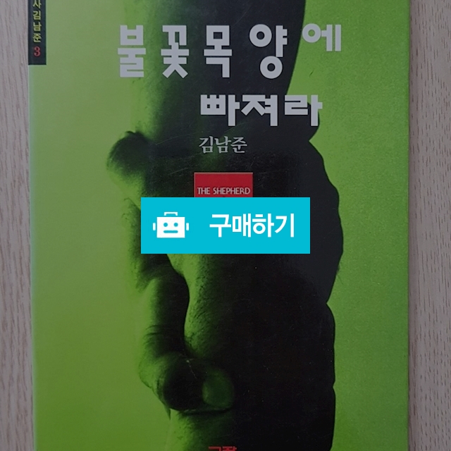 불꽃 목양에 빠져라(김남준/규장) / 크로스라이프 출판사 / 디비디비 / 구매하기 / 특가할인