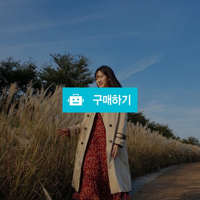 라인 배색 벨트 롱 트렌치코트 / 도브엘 / 디비디비 / 구매하기 / 특가할인