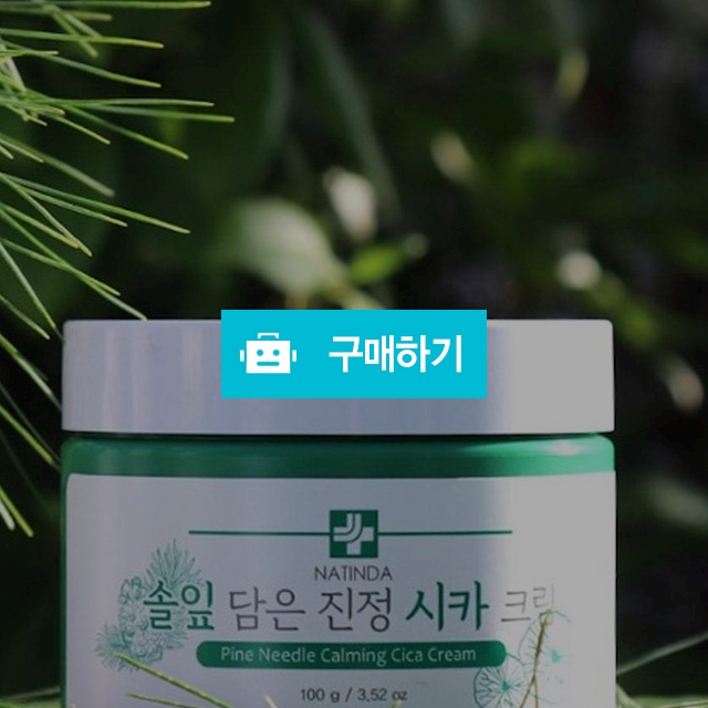 나틴다 솔잎 담은 진정 시카크림 100g / NATINDA / 디비디비 / 구매하기 / 특가할인