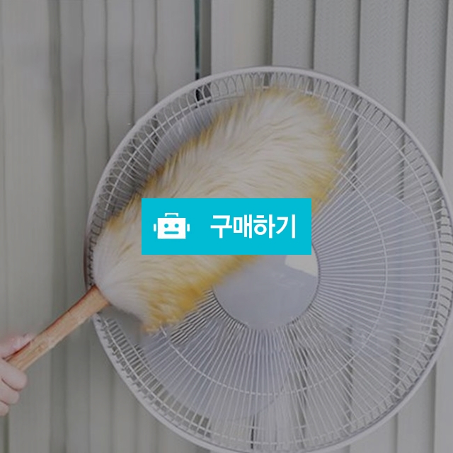 키보드 자동차 집안 틈새 양모 먼지털이 장식품 먼지털이개 떨이 청소도구 / 댕유마켓님의 스토어 / 디비디비 / 구매하기 / 특가할인