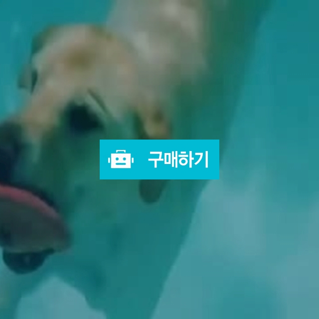 펫타올의 지존급!!! 슈퍼 샤미타올 / petfamworld / 디비디비 / 구매하기 / 특가할인