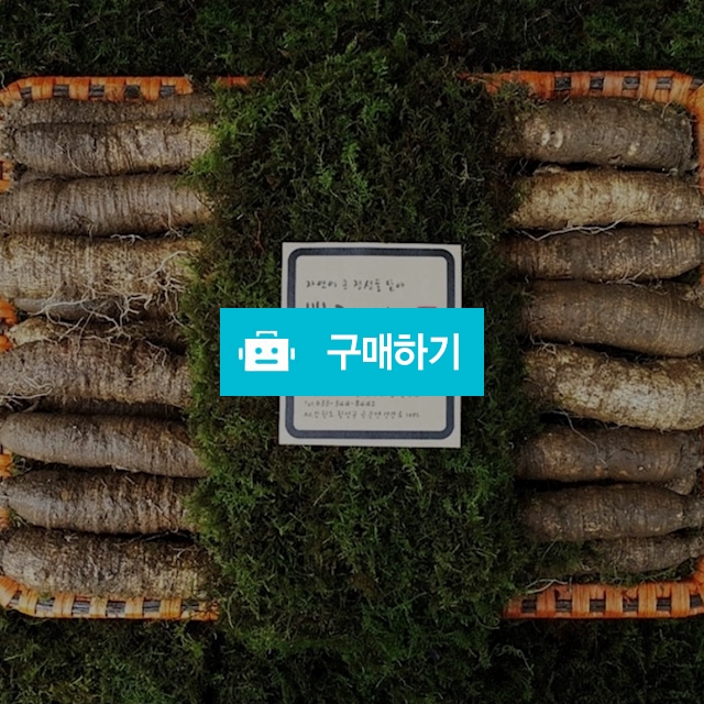 강원도 횡성 더덕 , 15,900원, 뿌리와잎새 [디비디비] 강원도 횡성 더덕  | 15,900원