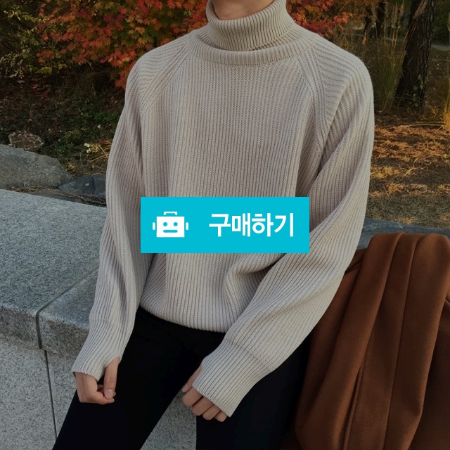 리이고] 안델센 터틀넥 폴라 니트 / REEGO 리이고 / 디비디비 / 구매하기 / 특가할인