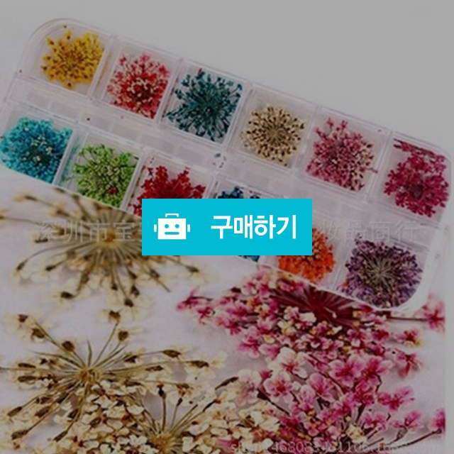 12색 드라이플라워네일장식 / shxjzx77님의 스토어 / 디비디비 / 구매하기 / 특가할인
