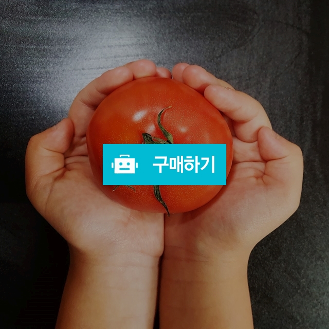 단마토 토망고 스테비아토마토 2.5kg/500g / 소담한식탁 / 디비디비 / 구매하기 / 특가할인
