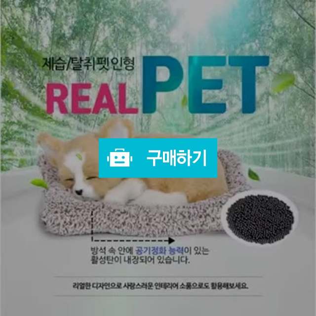 레드진스 제습 탈취 리얼펫 / 레드진스 / 디비디비 / 구매하기 / 특가할인