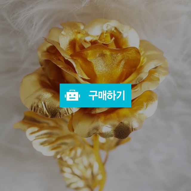 24K황금장미 / 홀리그라운드 / 디비디비 / 구매하기 / 특가할인