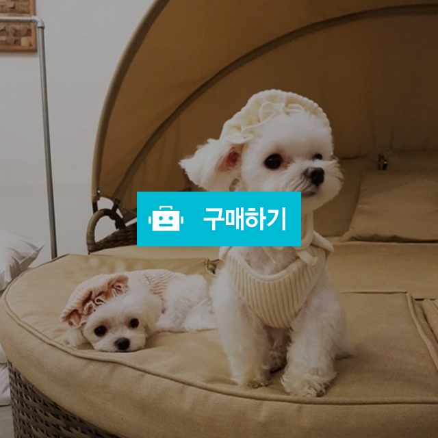 극세사 수면조끼 / 밍밈님의 스토어 / 디비디비 / 구매하기 / 특가할인