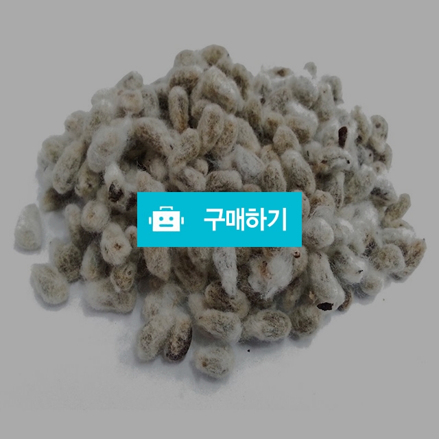 국산 면화자 목화씨 300g 목화씨앗 / 천년약초님의 스토어 / 디비디비 / 구매하기 / 특가할인