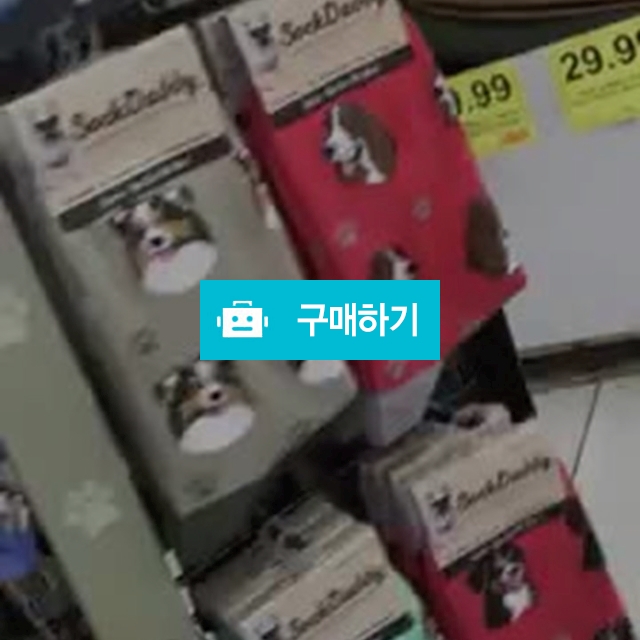 웰시코기 , 시츄 양말 댕댕이 양말 반려견 강아지 양말 패션양말 / 당근마켓 / 디비디비 / 구매하기 / 특가할인
