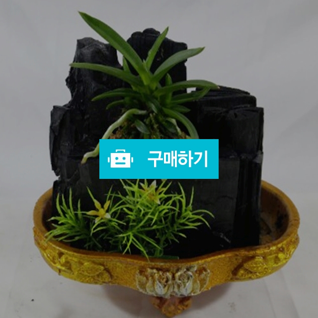 장미초미니 숯분재 / 한반도짱님의 스토어 / 디비디비 / 구매하기 / 특가할인