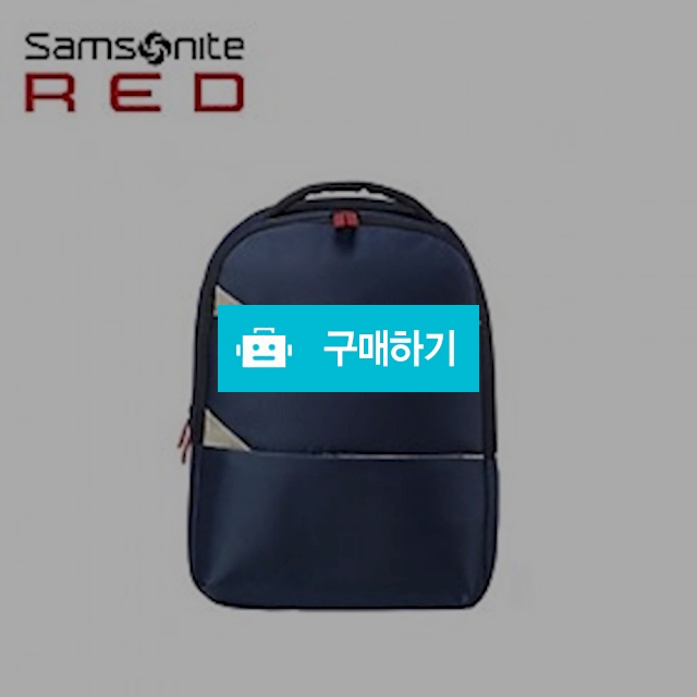 [쌤소나이트]THEON 백팩 99N12002 / 수진이네님의 스토어 / 디비디비 / 구매하기 / 특가할인