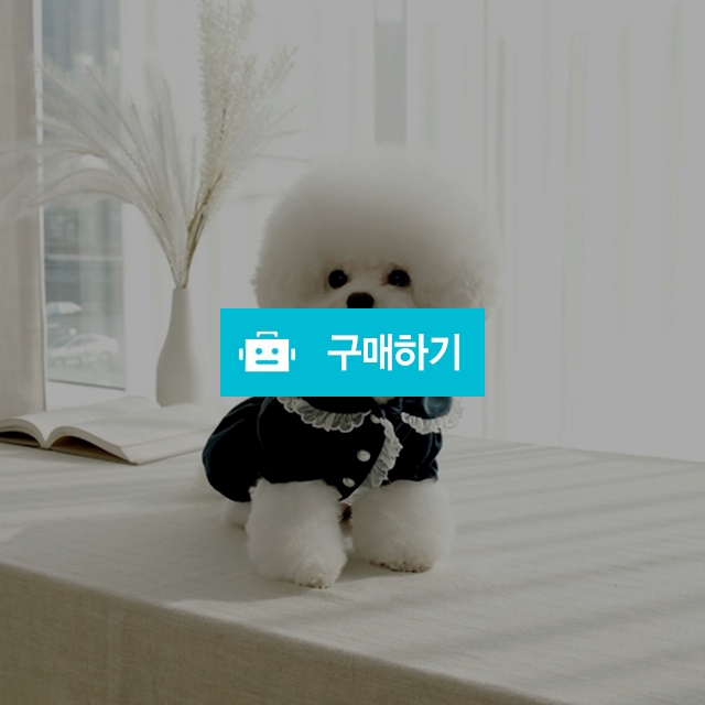 네이비 벨벳 레이스 주름원피스 / 밍밈님의 스토어 / 디비디비 / 구매하기 / 특가할인
