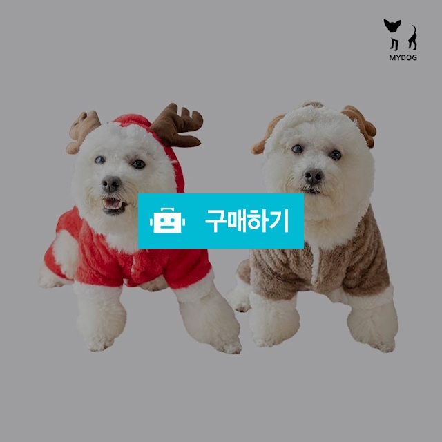 졸귀탱 올인원 강아지옷 / 마이독님의 스토어 / 디비디비 / 구매하기 / 특가할인