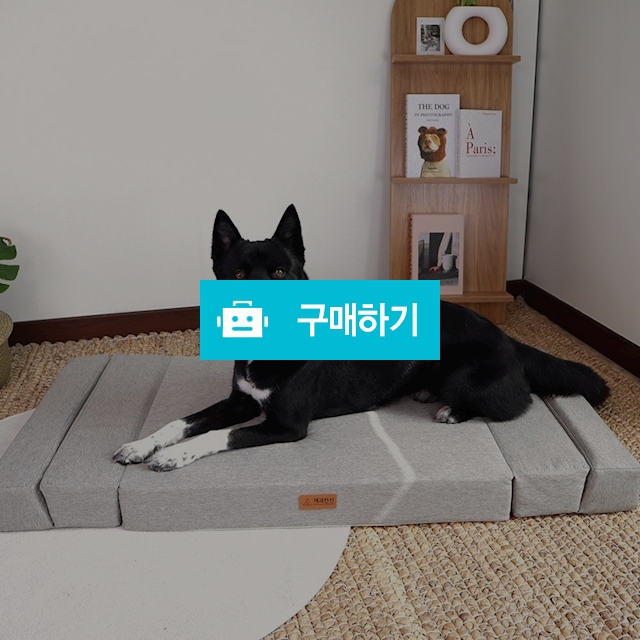 개과천선 접이식 침대 폴더블 애견 방석 강아지방석 슬개골예방 마약방석 초대형견 130cm / 개과천선 / 디비디비 / 구매하기 / 특가할인