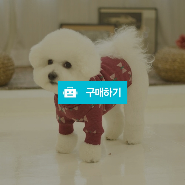 플라이 터틀넥 강아지 니트 _ 핑크 / 퍼피온님의 스토어 / 디비디비 / 구매하기 / 특가할인
