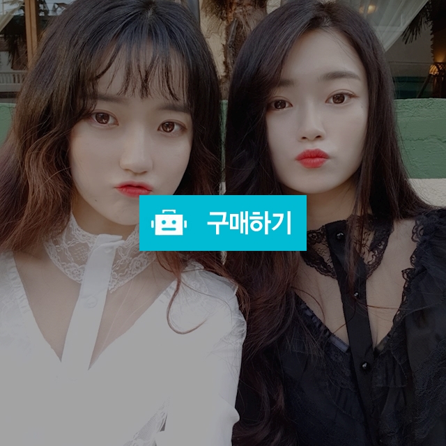 2color 초커 시스루 레이스 블라우스  / 클래식체어님의 스토어 / 디비디비 / 구매하기 / 특가할인