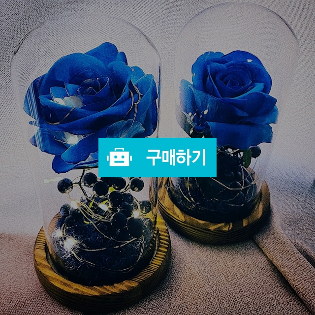 아쿠아리움 무드등 파란장미  / 인생꽃같다 / 디비디비 / 구매하기 / 특가할인