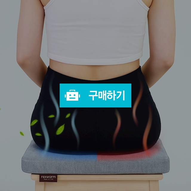 (렉스웜) 핫앤쿨 사계절 방석(보조배터리 20000mAh 포함)/원적외선/여름 시원/겨울 따뜻/사무실/차량용 / 참좋아요쇼핑몰 / 디비디비 / 구매하기 / 특가할인